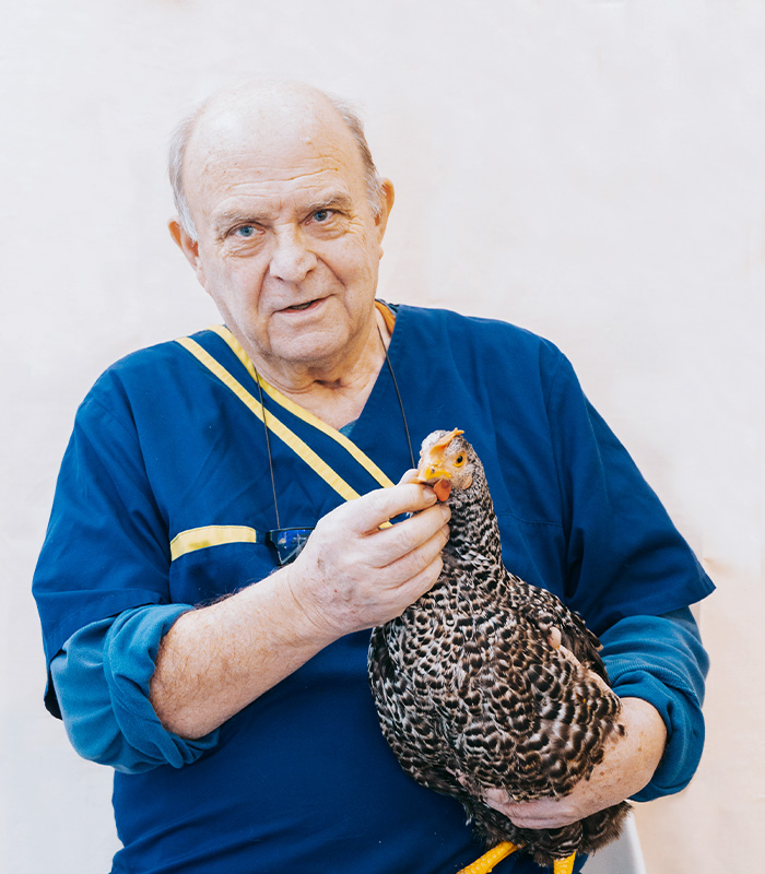 centre-veterinaire-brasseur-NAC_oiseaux