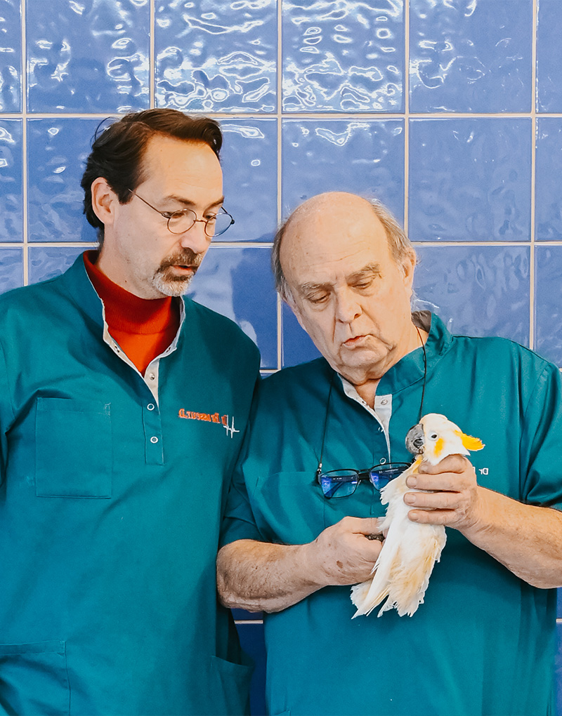 centre-veterinaire-brasseur-guy-david