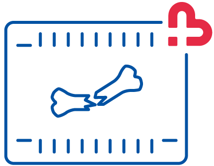 centre-veterinaire-brasseur-services-icon-02